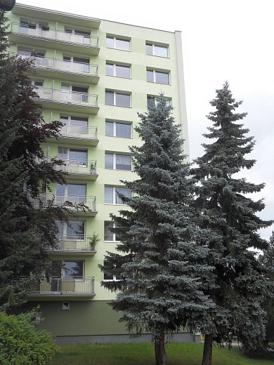 Pronájem bytu 2+1 60 m², Sokolovská, Tábor