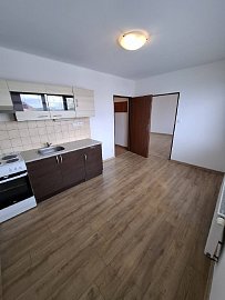 Prodej bytu 1+1 47 m², Borotín